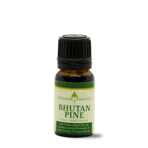 Kingdom Essence Bhutan Pine Essential Oil
